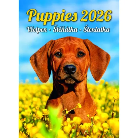 Kalendář Štěňátka (N181-26)
