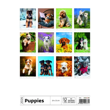 Kalendář Štěňátka (N181-26)