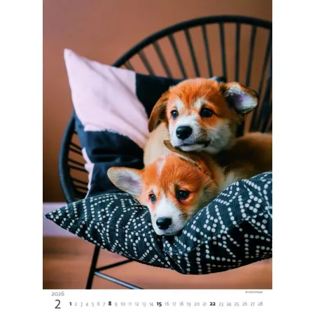 Kalendář Štěňátka (N181-26)