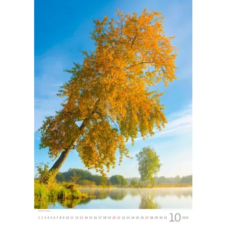 Kalendář Stromy (N125-24)