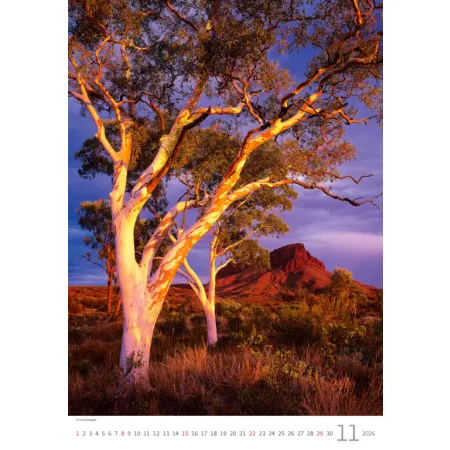 Kalendář Stromy (N125-26)