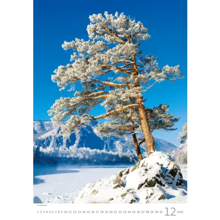 Kalendář Stromy (N125-26)