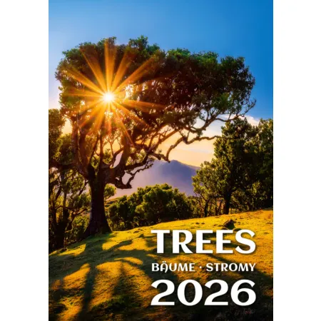 Kalendář Stromy (N125-26)