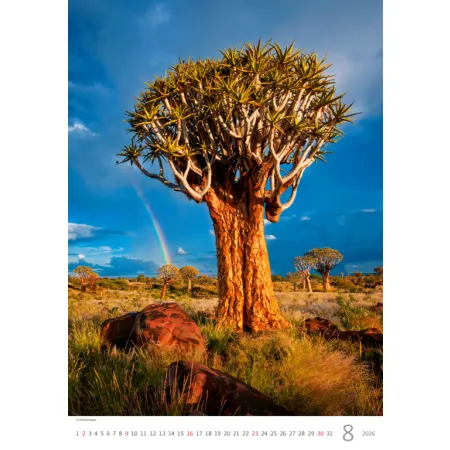 Kalendář Stromy (N125-26)