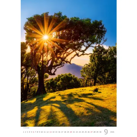 Kalendář Stromy (N125-26)