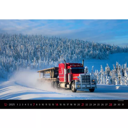 Kalendář Trucks in Action (N155-25)