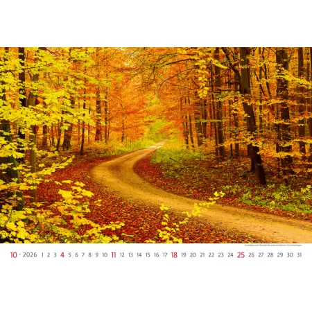 Kalendář Via (N133-26)