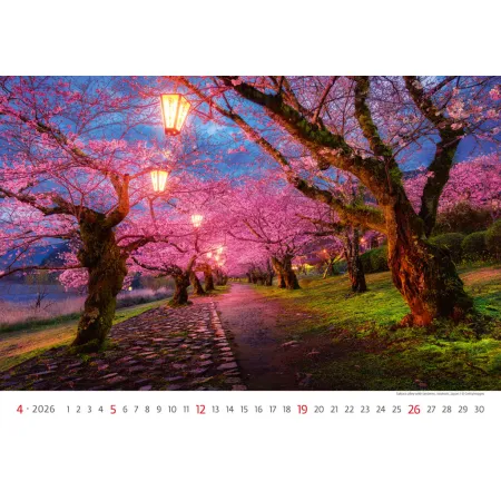 Kalendář Via (N133-26)