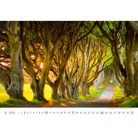 Kalendář Via (N133-26)