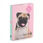 Karton P+P Box na sešity A5 ISHA - My love Pet