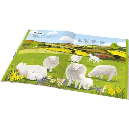 KONĚ, SLEPICE a další zvířátka z farmy – Kniha samolepek