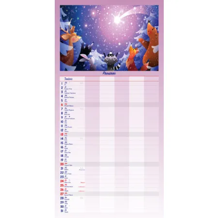 MAXI rodinný plánovač (N201-26)