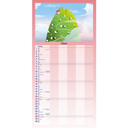 MAXI rodinný plánovač (N201-26)