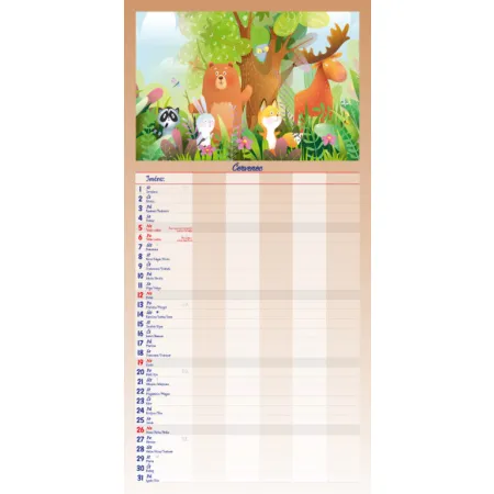 MAXI rodinný plánovač (N201-26)