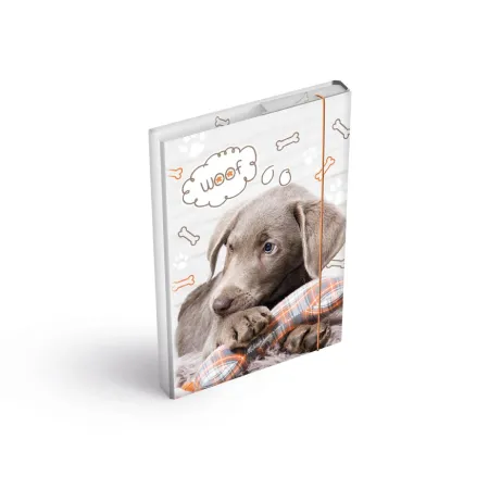 MFP desky na sešity box A5 Pes 8021028