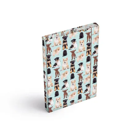 MFP desky na sešity box A5 Psi 8021033