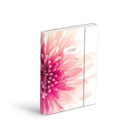 MFP diář 2026 D801 Lamino 2 s magnetem 7781442