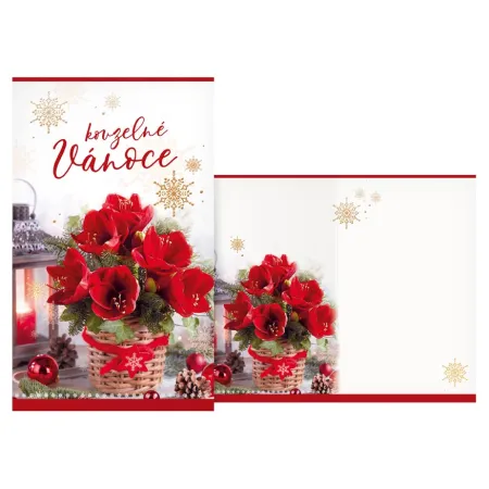 MFP přání Vánoční malé V23-171 Z PRANI_Z_643