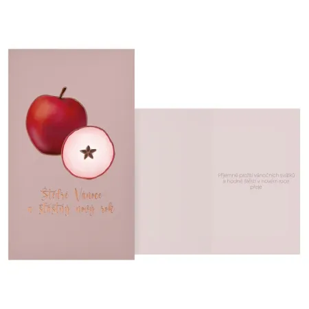 MFP přání Vánoční V24-484 H PRANI_H_619