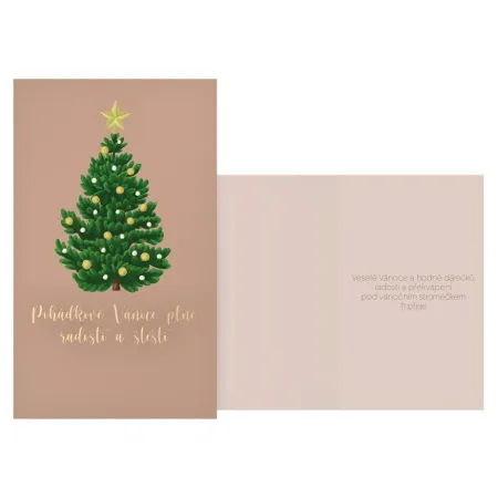 MFP přání Vánoční V24-486 H PRANI_H_621