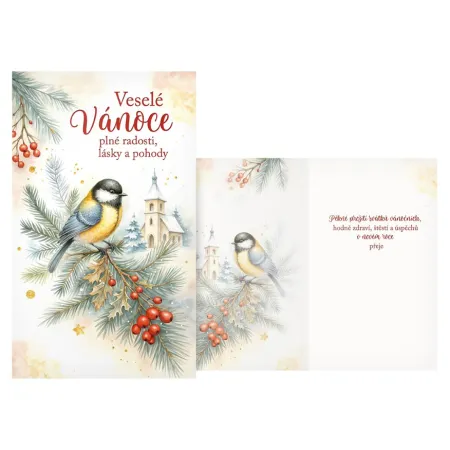 MFP přání Vánoční V24-499 T PRANI_T_2460