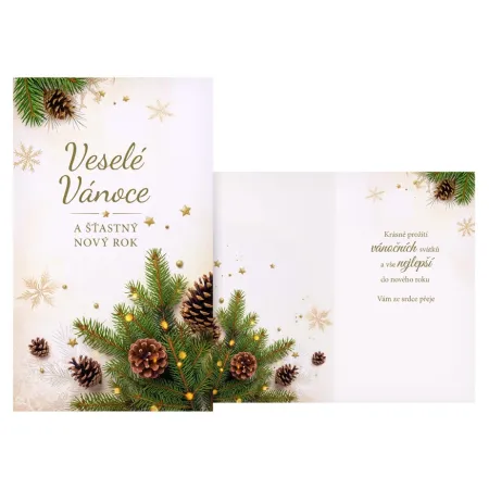 MFP přání Vánoční V24-505 T PRANI_T_2462