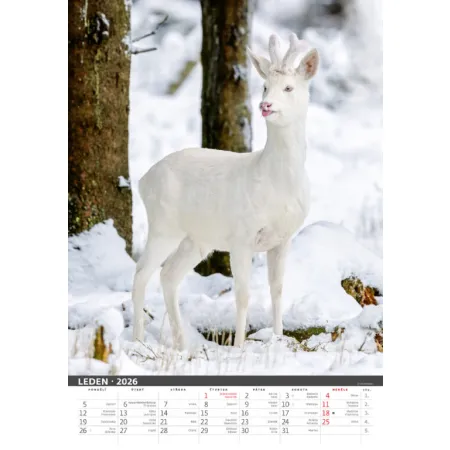 Myslivecký kalendář (N120-26)