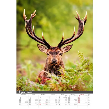 Myslivecký kalendář (N120-26)