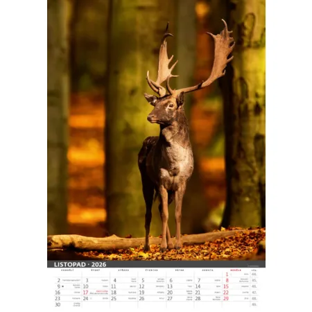 Myslivecký kalendář (N120-26)