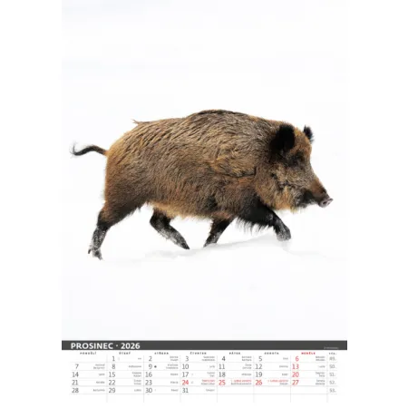 Myslivecký kalendář (N120-26)