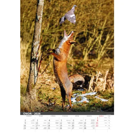 Myslivecký kalendář (N120-26)