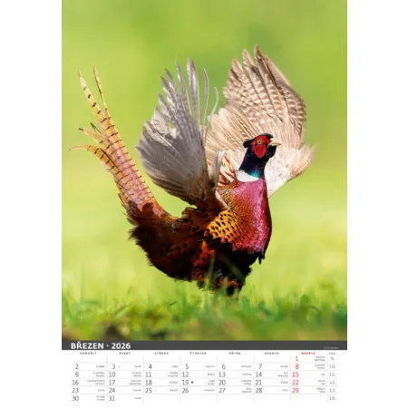 Myslivecký kalendář (N120-26)