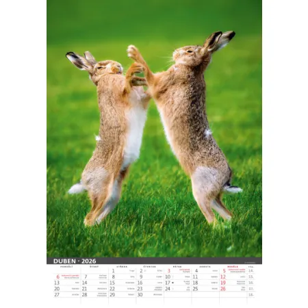 Myslivecký kalendář (N120-26)