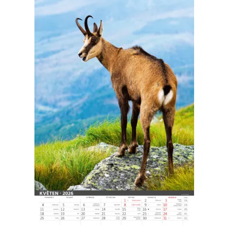 Myslivecký kalendář (N120-26)