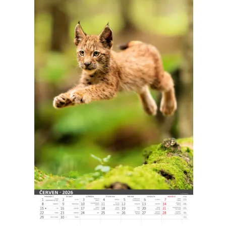 Myslivecký kalendář (N120-26)