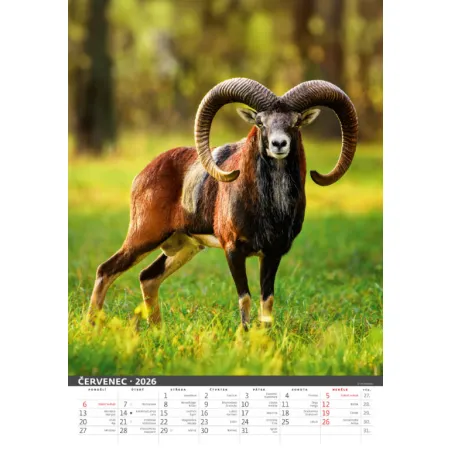Myslivecký kalendář (N120-26)