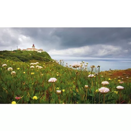 Nástěnný kalendář 2017 Helma, Pobřeží - 3měsíční N200-17