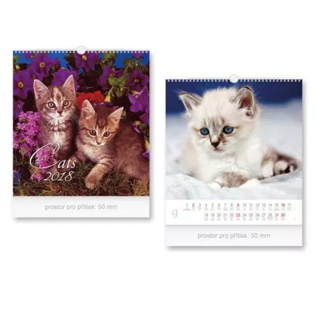 Nástěnný kalendář 2018 MFP malý Cats 