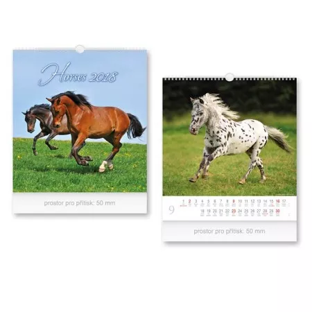 Nástěnný kalendář 2018 MFP malý Horses