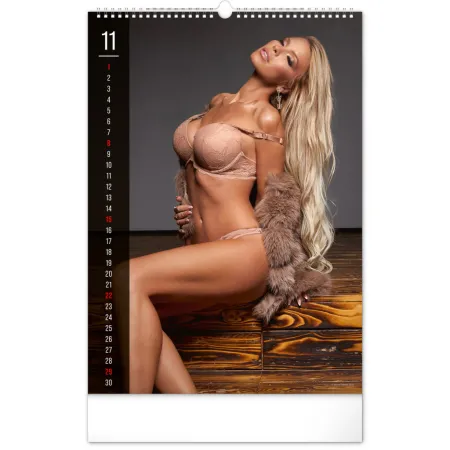 Nástěnný kalendář Girls Exclusive 2026, 33 x 46 cm