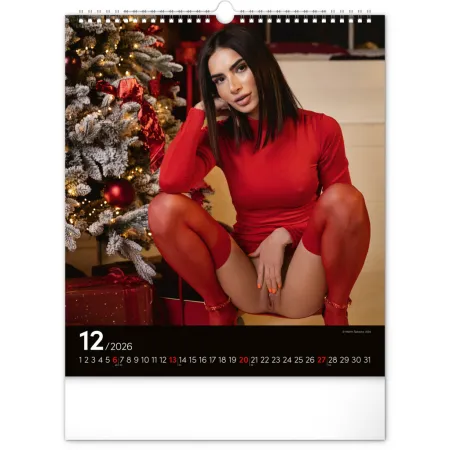 Nástěnný kalendář Hot Girls 2026, 30 x 34 cm