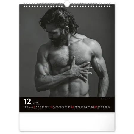 Nástěnný kalendář Men 2026, 30 x 34 cm
