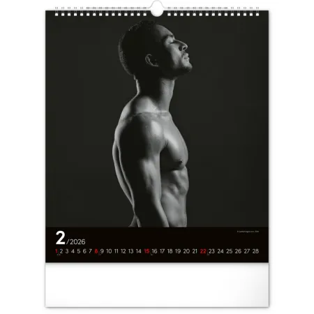 Nástěnný kalendář Men 2026, 30 x 34 cm