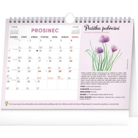 NOTIQUE Měsíční plánovací kalendář se semínky 2026, 30 x 21 cm