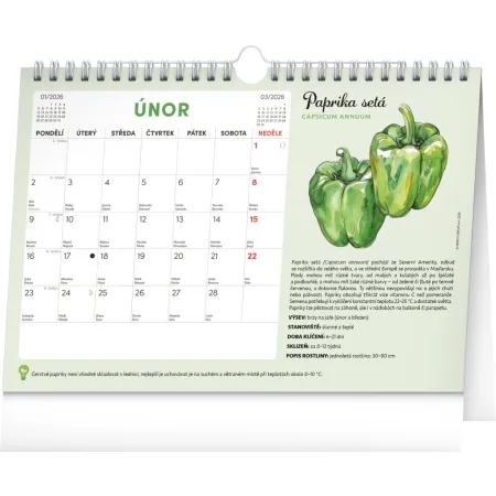 NOTIQUE Měsíční plánovací kalendář se semínky 2026, 30 x 21 cm