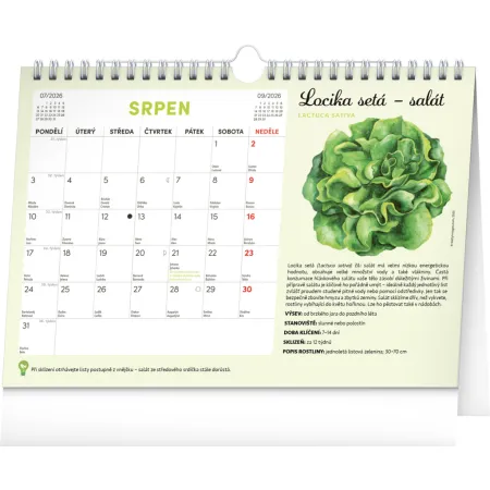 NOTIQUE Měsíční plánovací kalendář se semínky 2026, 30 x 21 cm