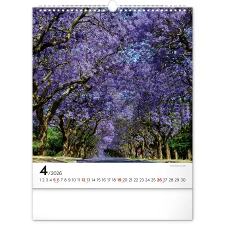 NOTIQUE Nástěnný kalendář Inspirace 2026, 30 x 34 cm