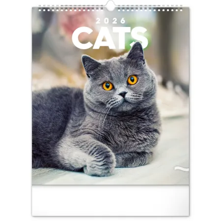 NOTIQUE Nástěnný kalendář Kočky 2026, 30 x 34 cm