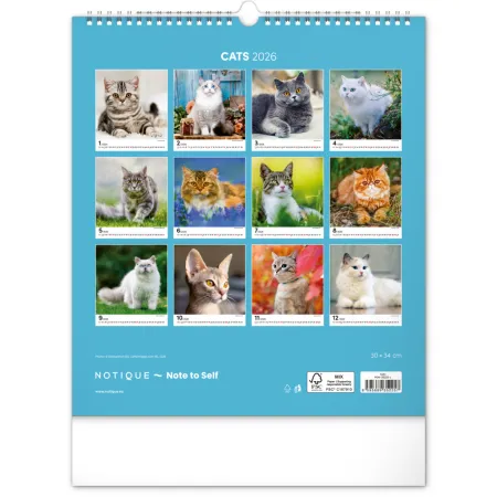 NOTIQUE Nástěnný kalendář Kočky 2026, 30 x 34 cm