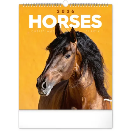 NOTIQUE Nástěnný kalendář Koně 2026, 30 x 34 cm